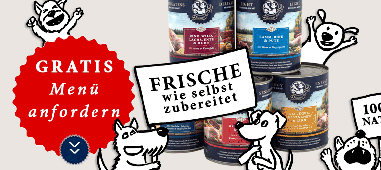 Katzen und Hundefutter proben